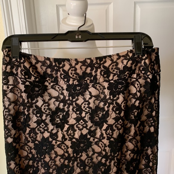 EUC.  Banana Republic lace skirt - Picture 2 of 5